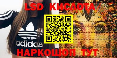 apvp Свободный