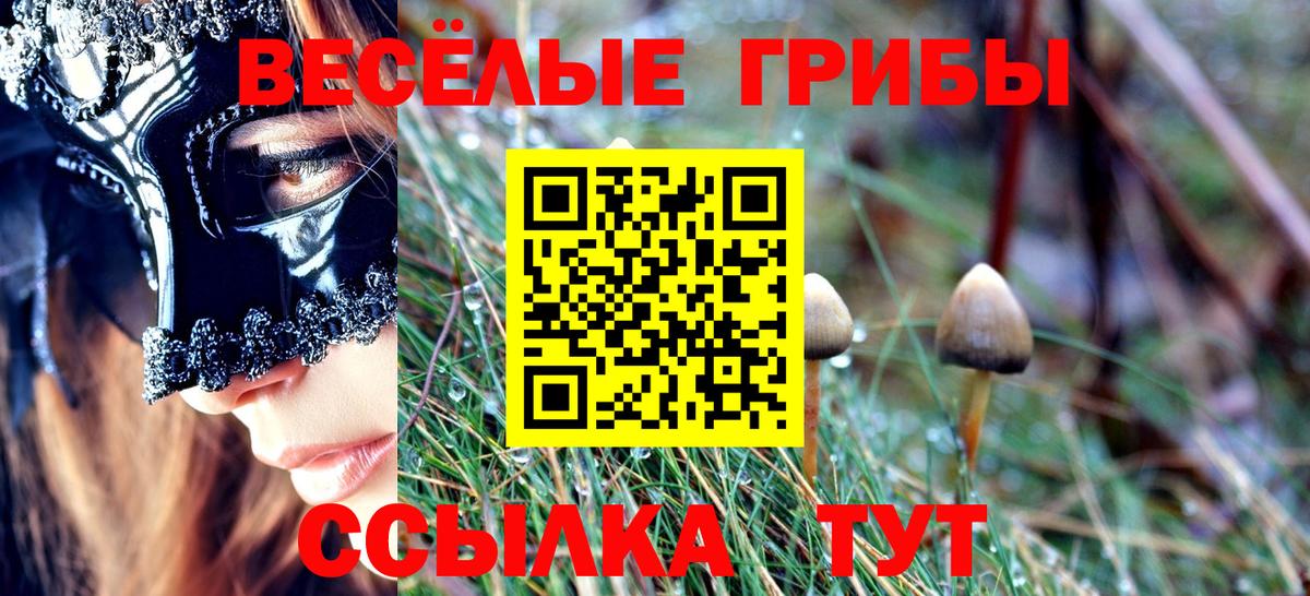 Галлюциногенные грибы MAGIC MUSHROOMS  Вход с VPN  Урай 